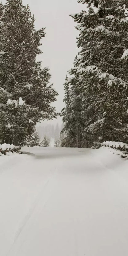 Snowy Roads 10’X20’ Ultracloth (120 X 240 Inch) Backdrop