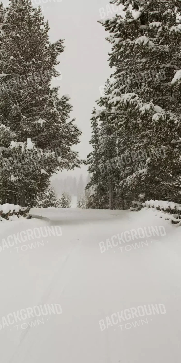 Snowy Roads 10’X20’ Ultracloth (120 X 240 Inch) Backdrop