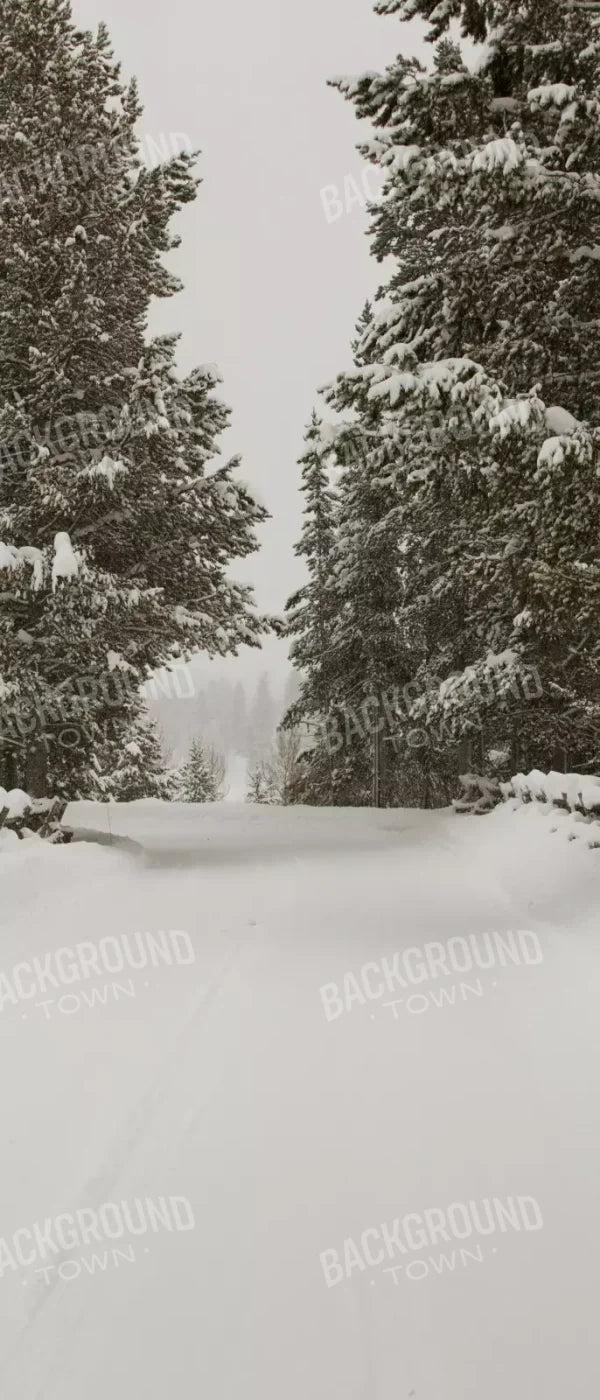 Snowy Roads 5’X12’ Ultracloth For Westcott X-Drop (60 X 144 Inch) Backdrop