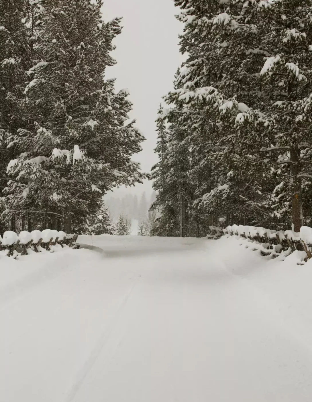 Snowy Roads 6’X8’ Fleece (72 X 96 Inch) Backdrop