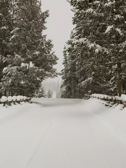 Snowy Roads 8’X10’ Fleece (96 X 120 Inch) Backdrop