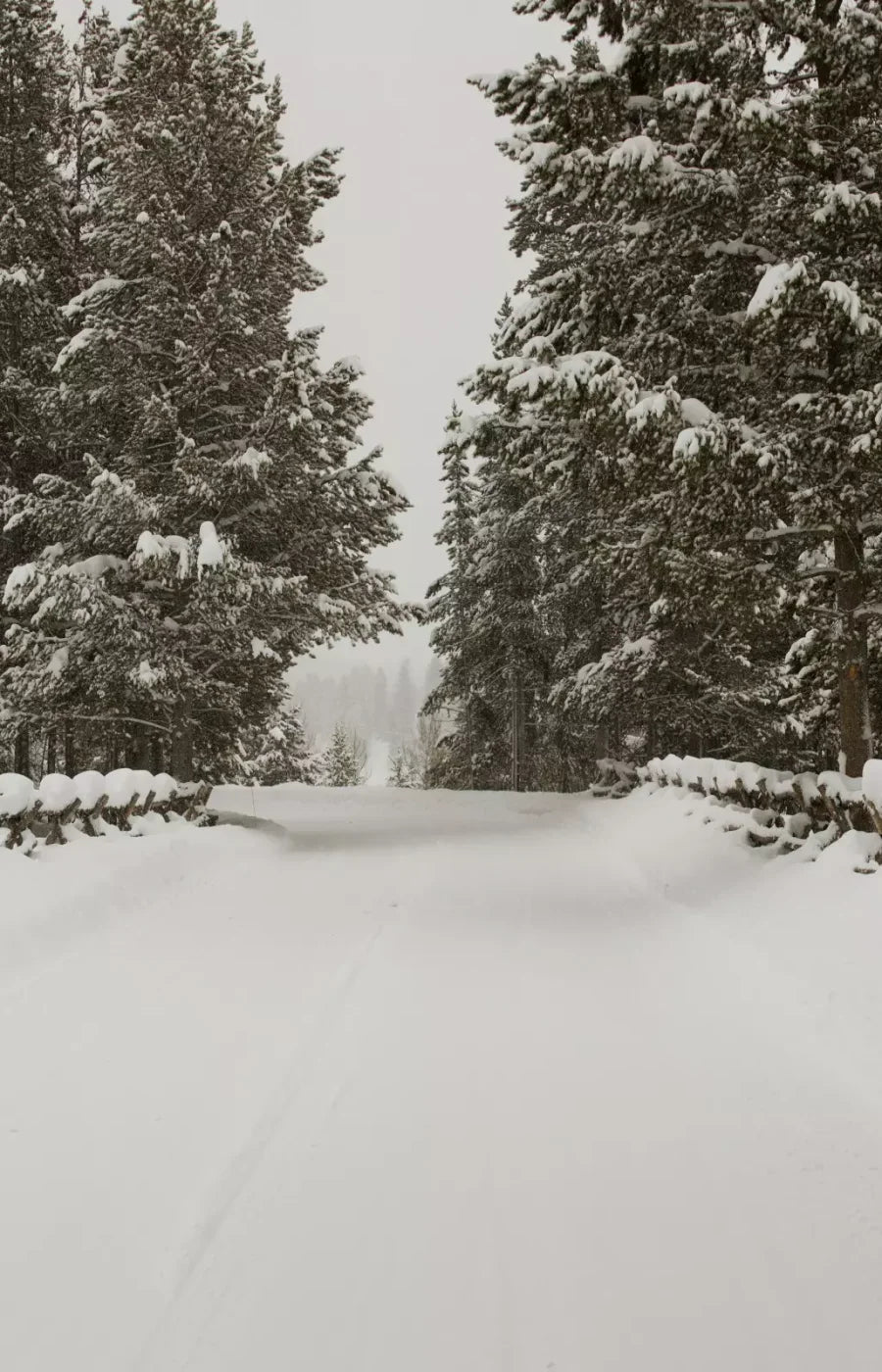 Snowy Roads 8’X12’ Ultracloth (96 X 144 Inch) Backdrop