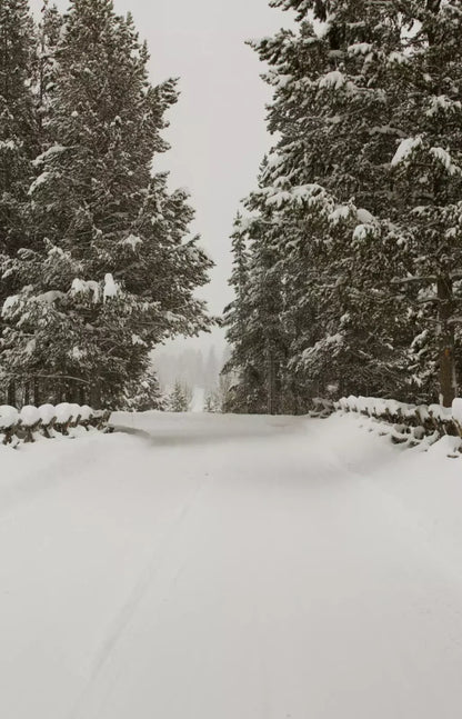 Snowy Roads 8’X12’ Ultracloth (96 X 144 Inch) Backdrop