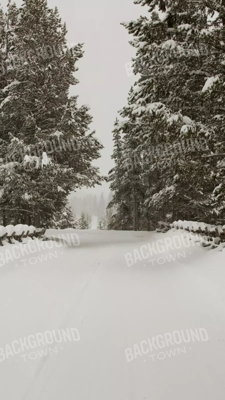 Snowy Roads 8’X14’ Ultracloth (96 X 168 Inch) Backdrop