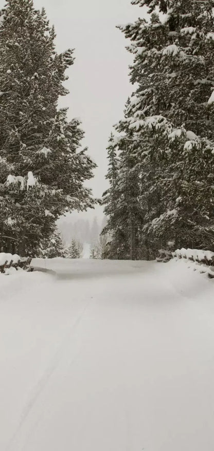 Snowy Roads 8’X16’ Ultracloth (96 X 192 Inch) Backdrop