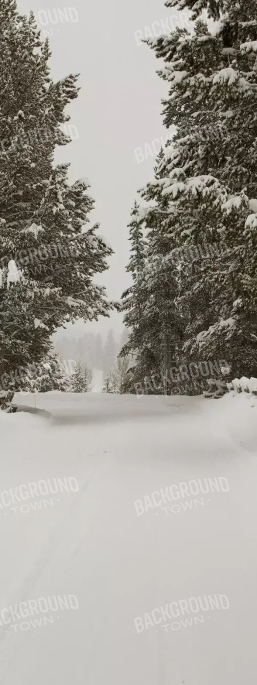 Snowy Roads 8’X20’ Ultracloth (96 X 240 Inch) Backdrop