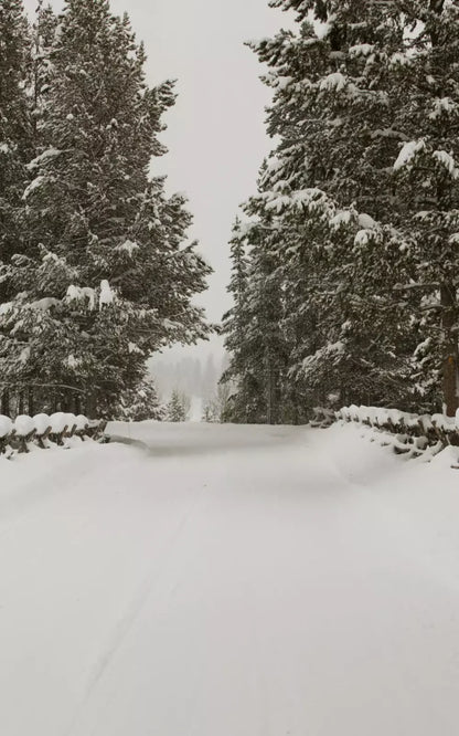 Snowy Roads 9’X14’ Ultracloth (108 X 168 Inch) Backdrop