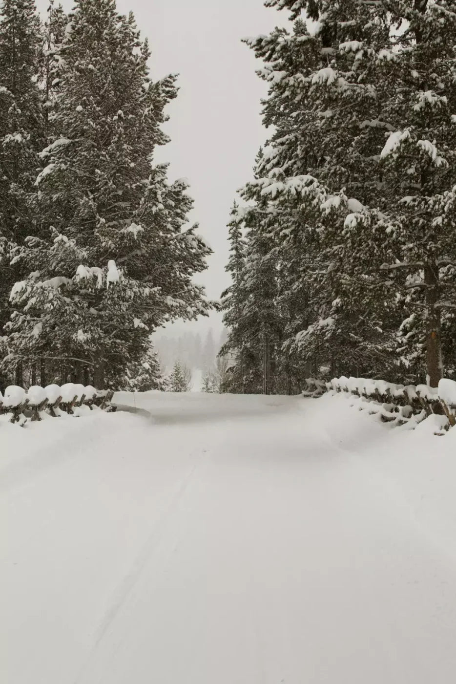 Snowy Roads Backdrop