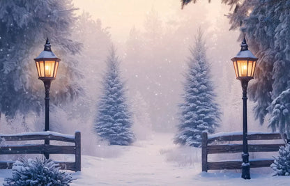 Snowy Winter Scene 14’X9’ Ultracloth (168 X 108 Inch) Backdrop