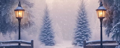 Snowy Winter Scene 20’X8’ Ultracloth (240 X 96 Inch) Backdrop