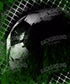Green Sports Backdrop for Photography