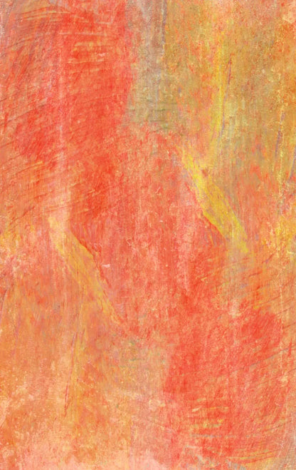 Sofia 10’X16’ Ultracloth (120 X 192 Inch) Backdrop