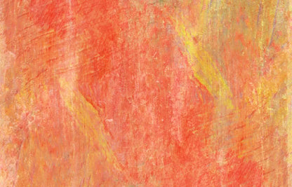 Sofia 12’X8’ Ultracloth (144 X 96 Inch) Backdrop