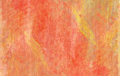 Sofia 16’X10’ Ultracloth (192 X 120 Inch) Backdrop