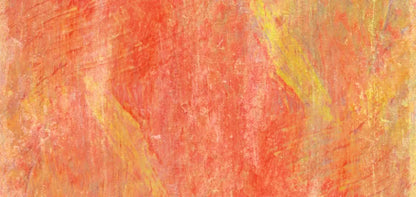 Sofia 16’X8’ Ultracloth (192 X 96 Inch) Backdrop