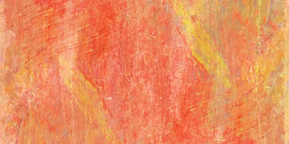 Sofia 20’X10’ Ultracloth (240 X 120 Inch) Backdrop