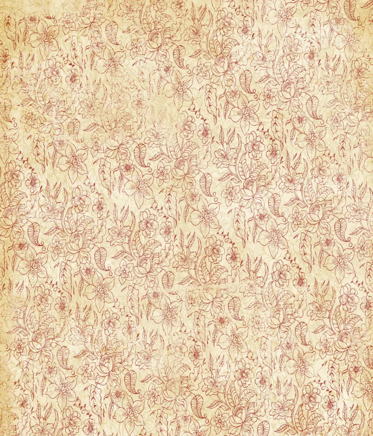 Sonia 10X12 Ultracloth ( 120 X 144 Inch ) Backdrop