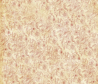 Sonia 12X10 Ultracloth ( 144 X 120 Inch ) Backdrop