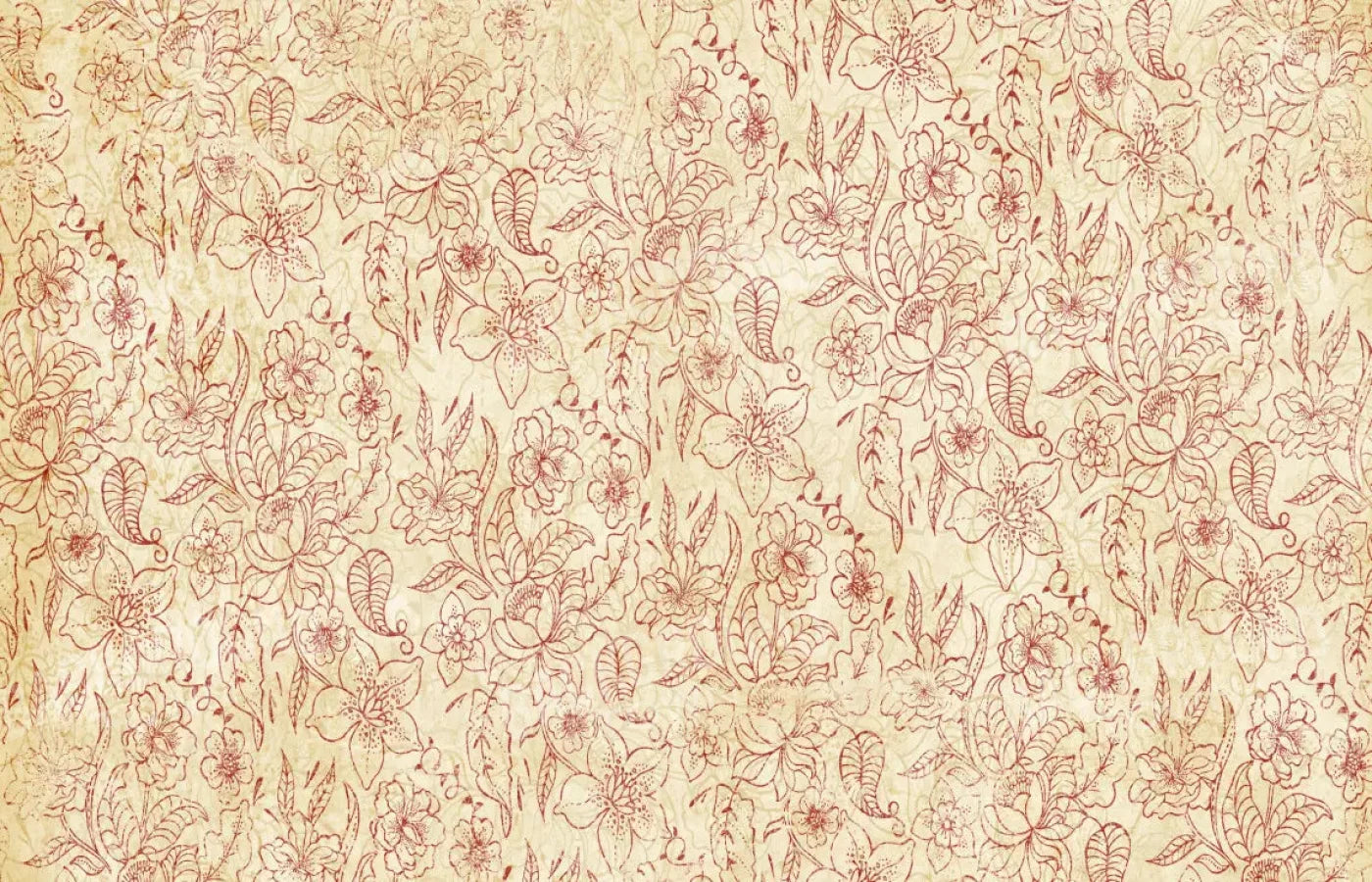 Sonia 12X8 Ultracloth ( 144 X 96 Inch ) Backdrop