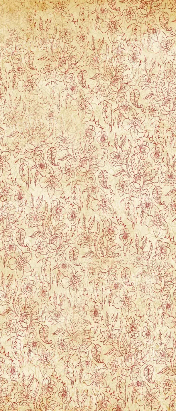 Sonia 5X12 Ultracloth For Westcott X-Drop ( 60 X 144 Inch ) Backdrop