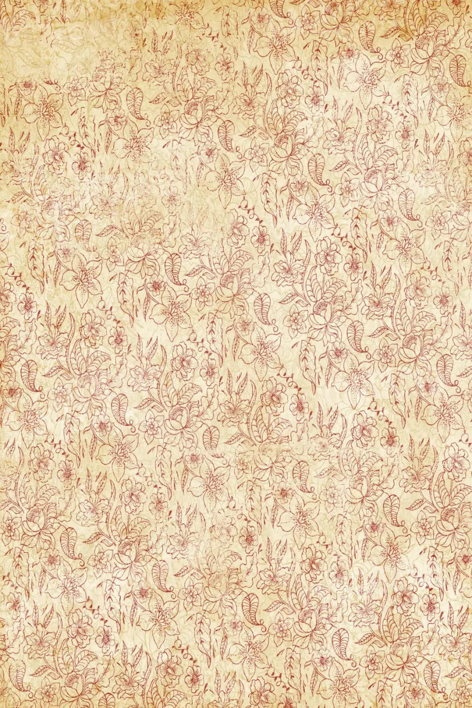 Sonia 5X8 Ultracloth ( 60 X 96 Inch ) Backdrop