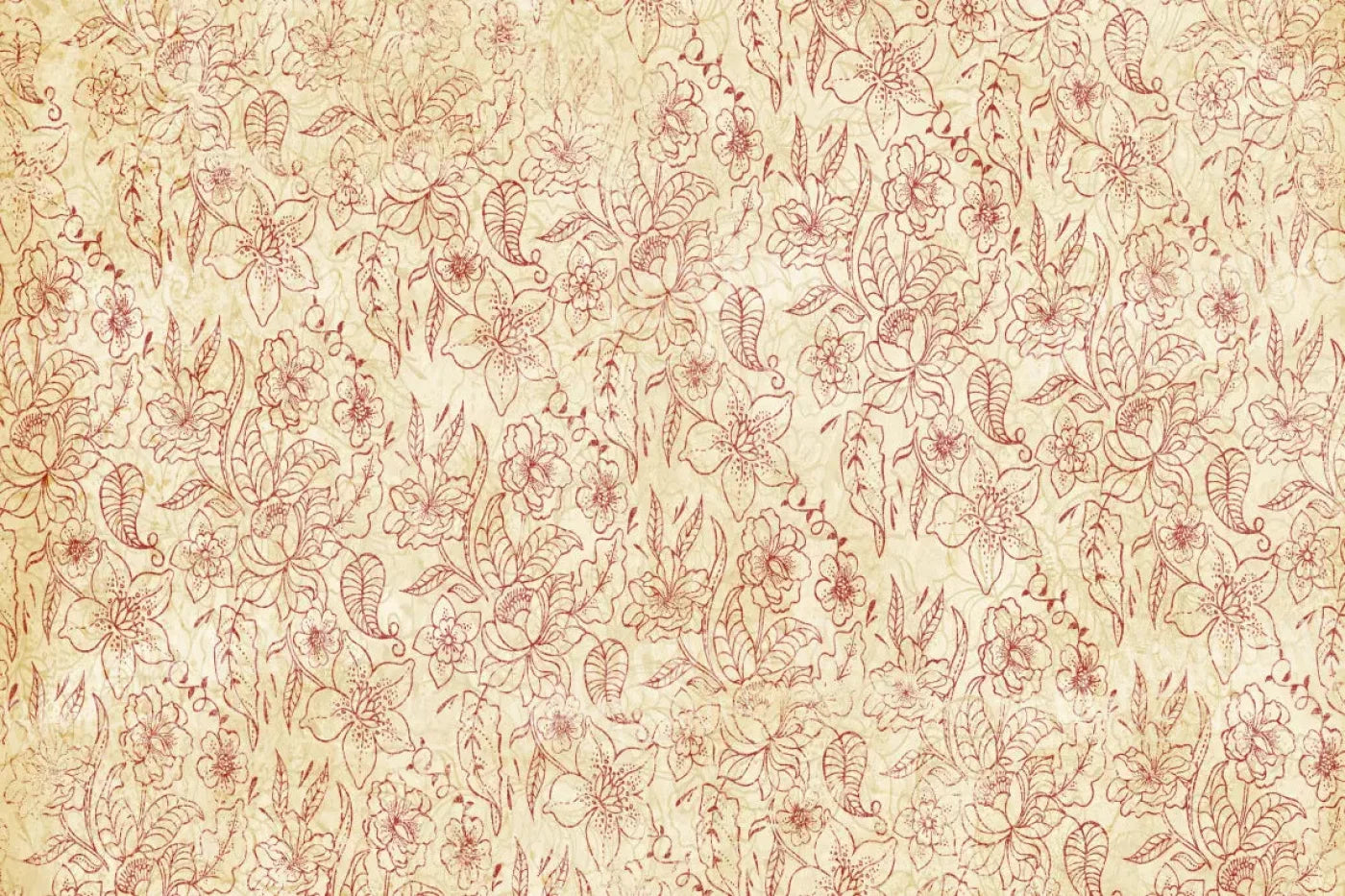 Sonia 8X5 Ultracloth ( 96 X 60 Inch ) Backdrop