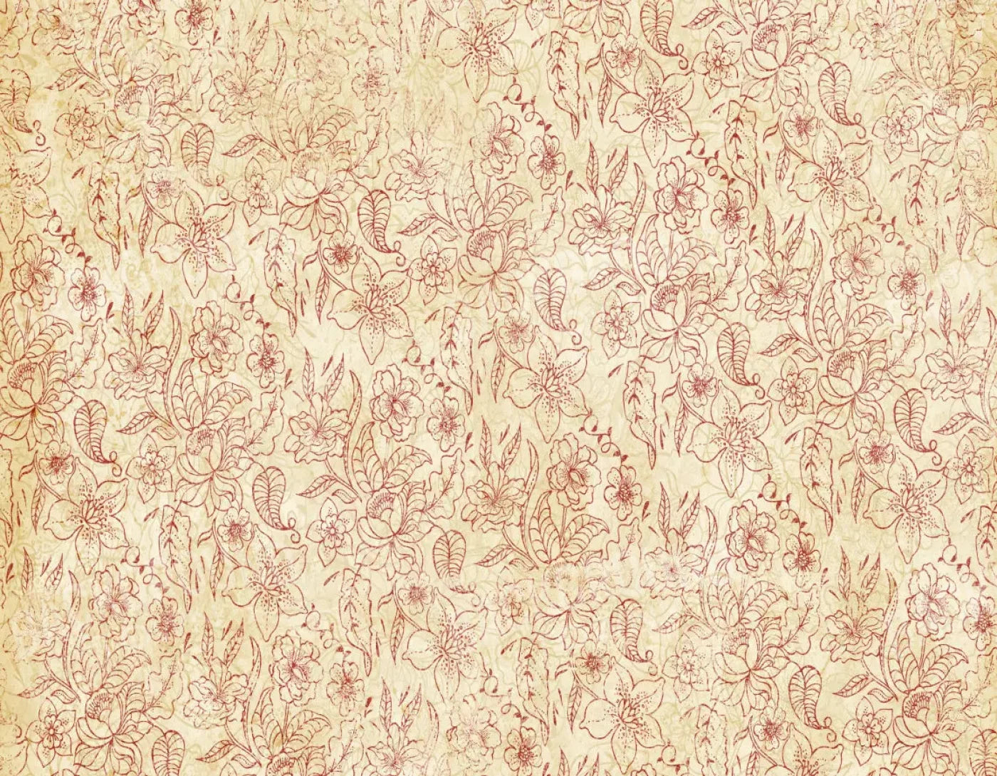 Sonia 8X6 Fleece ( 96 X 72 Inch ) Backdrop