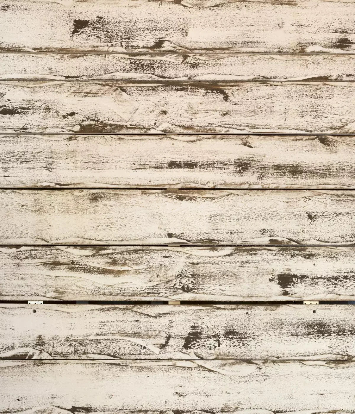 Southern Charm 10’X12’ Ultracloth (120 X 144 Inch) Backdrop