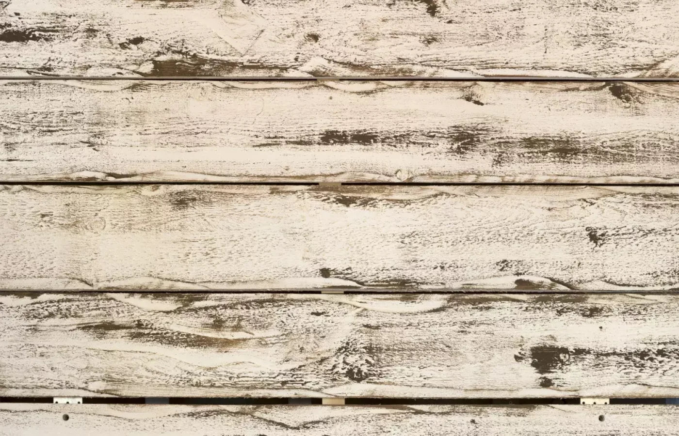 Southern Charm 12’X8’ Ultracloth (144 X 96 Inch) Backdrop