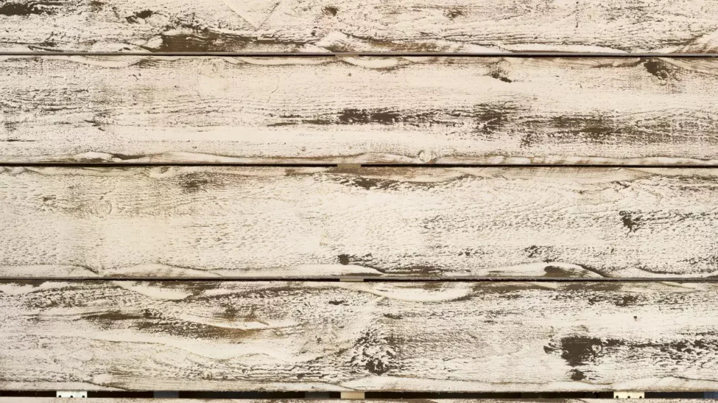 Southern Charm 14’X8’ Ultracloth (168 X 96 Inch) Backdrop