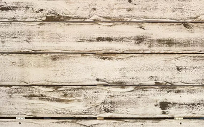 Southern Charm 14’X9’ Ultracloth (168 X 108 Inch) Backdrop