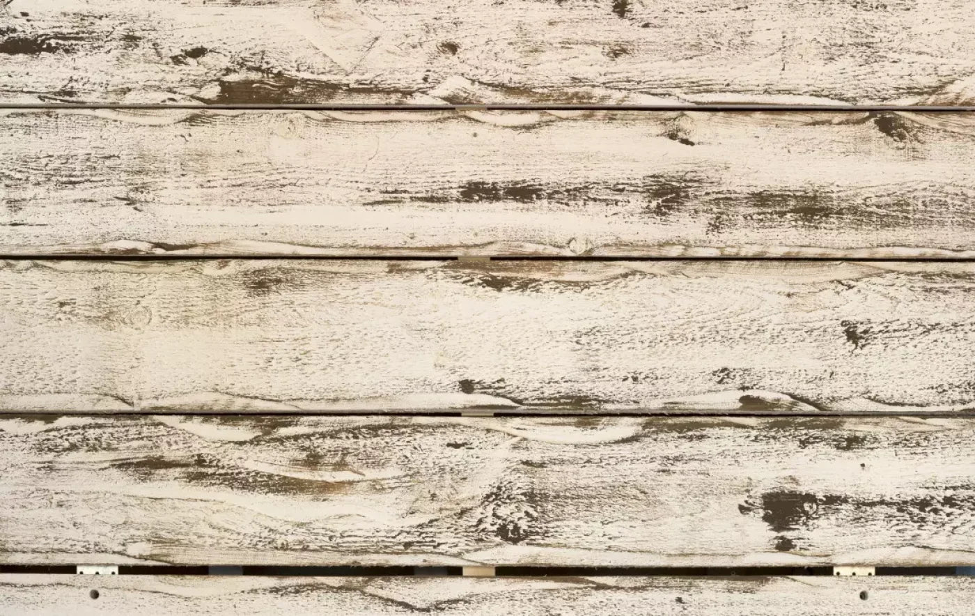 Southern Charm 16’X10’ Ultracloth (192 X 120 Inch) Backdrop