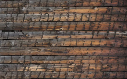 Southern Comfort 14’X9’ Ultracloth (168 X 108 Inch) Backdrop