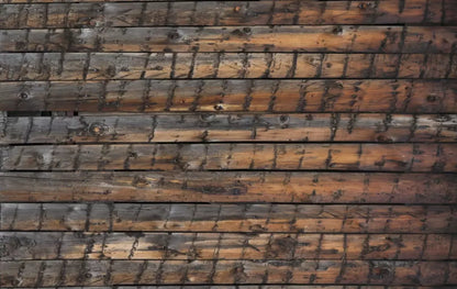 Southern Comfort 16’X10’ Ultracloth (192 X 120 Inch) Backdrop