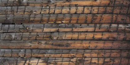 Southern Comfort 20’X10’ Ultracloth (240 X 120 Inch) Backdrop