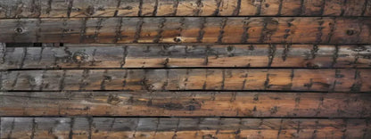 Southern Comfort 20’X8’ Ultracloth (240 X 96 Inch) Backdrop