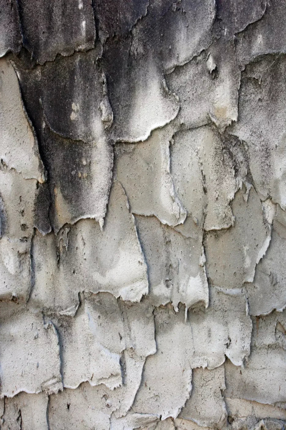 Spackle 5’X8’ Ultracloth (60 X 96 Inch) Backdrop