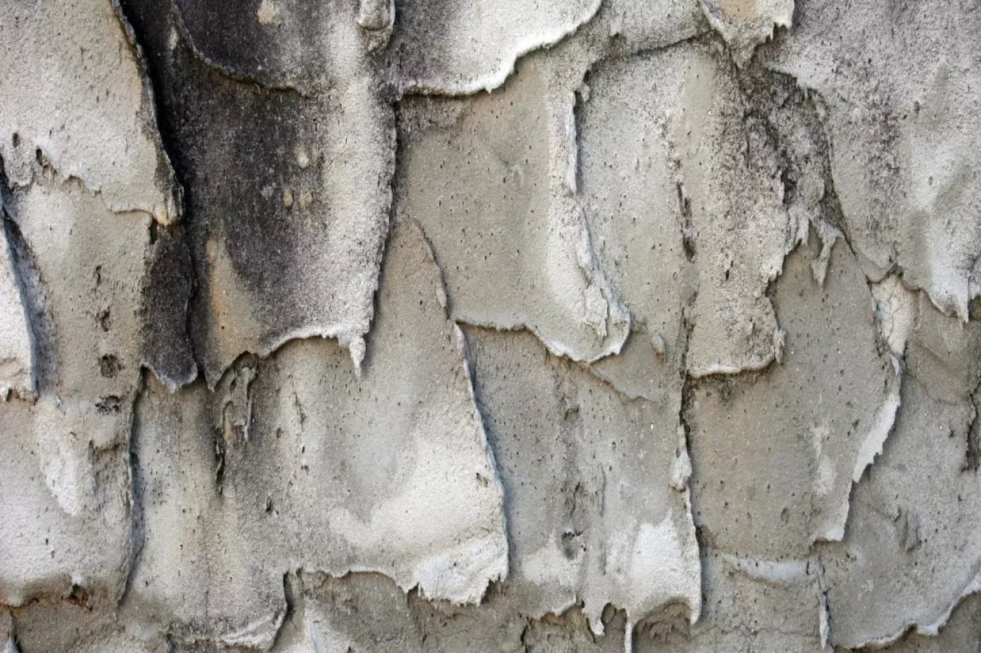 Spackle 8’X5’ Ultracloth (96 X 60 Inch) Backdrop