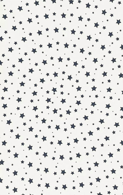 Spangled 10X16 Ultracloth ( 120 X 192 Inch ) Backdrop