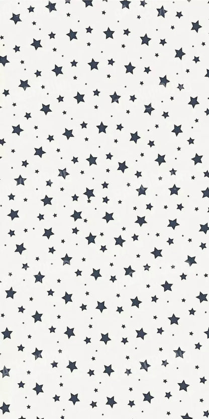 Spangled 10X20 Ultracloth ( 120 X 240 Inch ) Backdrop