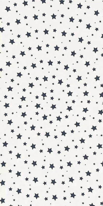 Spangled 10X20 Ultracloth ( 120 X 240 Inch ) Backdrop