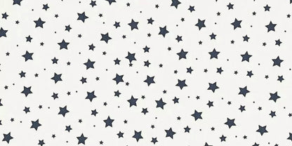 Spangled 20X10 Ultracloth ( 240 X 120 Inch ) Backdrop