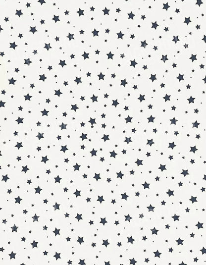 Spangled 6X8 Fleece ( 72 X 96 Inch ) Backdrop