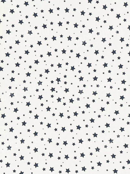 Spangled 8X10 Fleece ( 96 X 120 Inch ) Backdrop