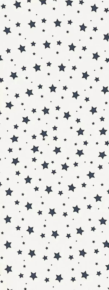 Spangled 8X20 Ultracloth ( 96 X 240 Inch ) Backdrop