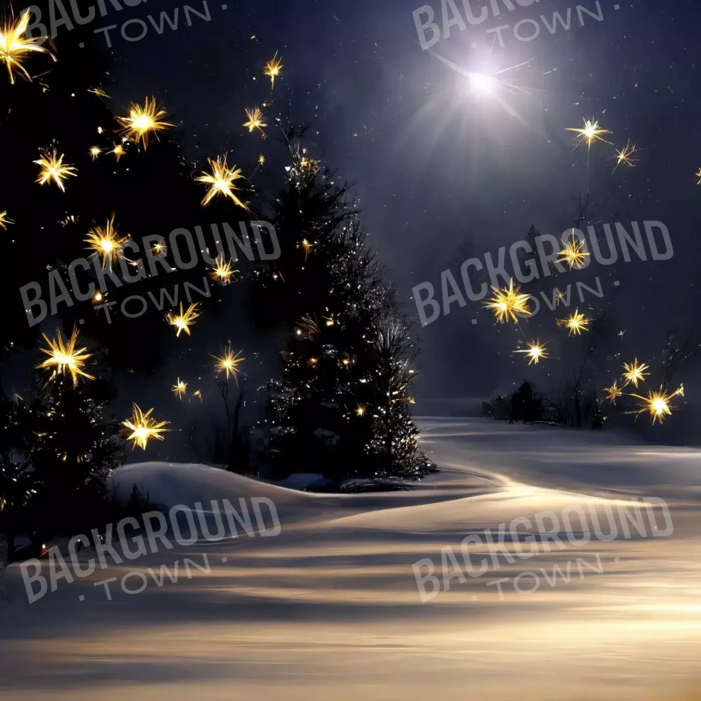 Sparkling Snowy Path 10’X10’ Ultracloth (120 X Inch) Backdrop