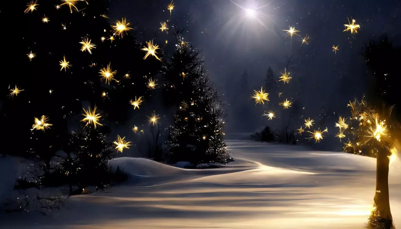 Sparkling Snowy Path 14’X8’ Ultracloth (168 X 96 Inch) Backdrop