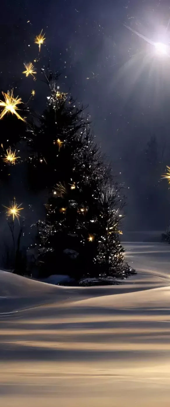 Sparkling Snowy Path 5’X12’ Ultracloth For Westcott X-Drop (60 X 144 Inch) Backdrop