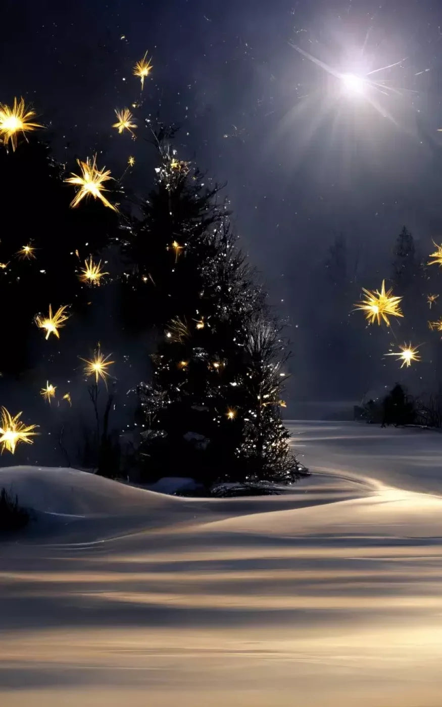 Sparkling Snowy Path 5’X8’ Ultracloth (60 X 96 Inch) Backdrop