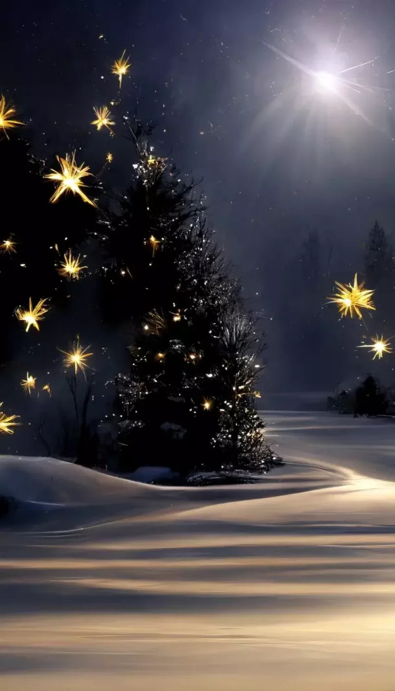 Sparkling Snowy Path 8’X14’ Ultracloth (96 X 168 Inch) Backdrop